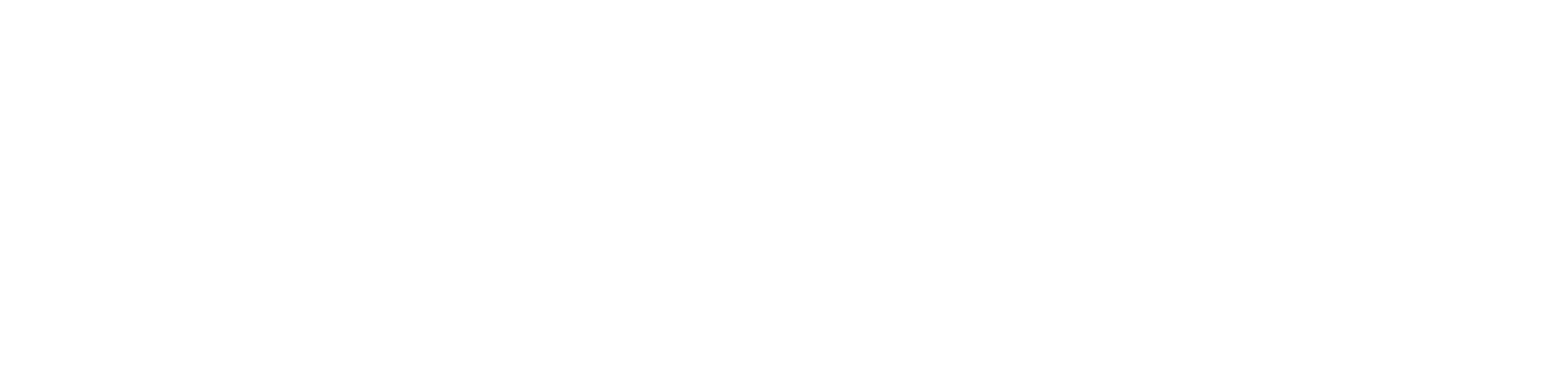 CediPoint logo